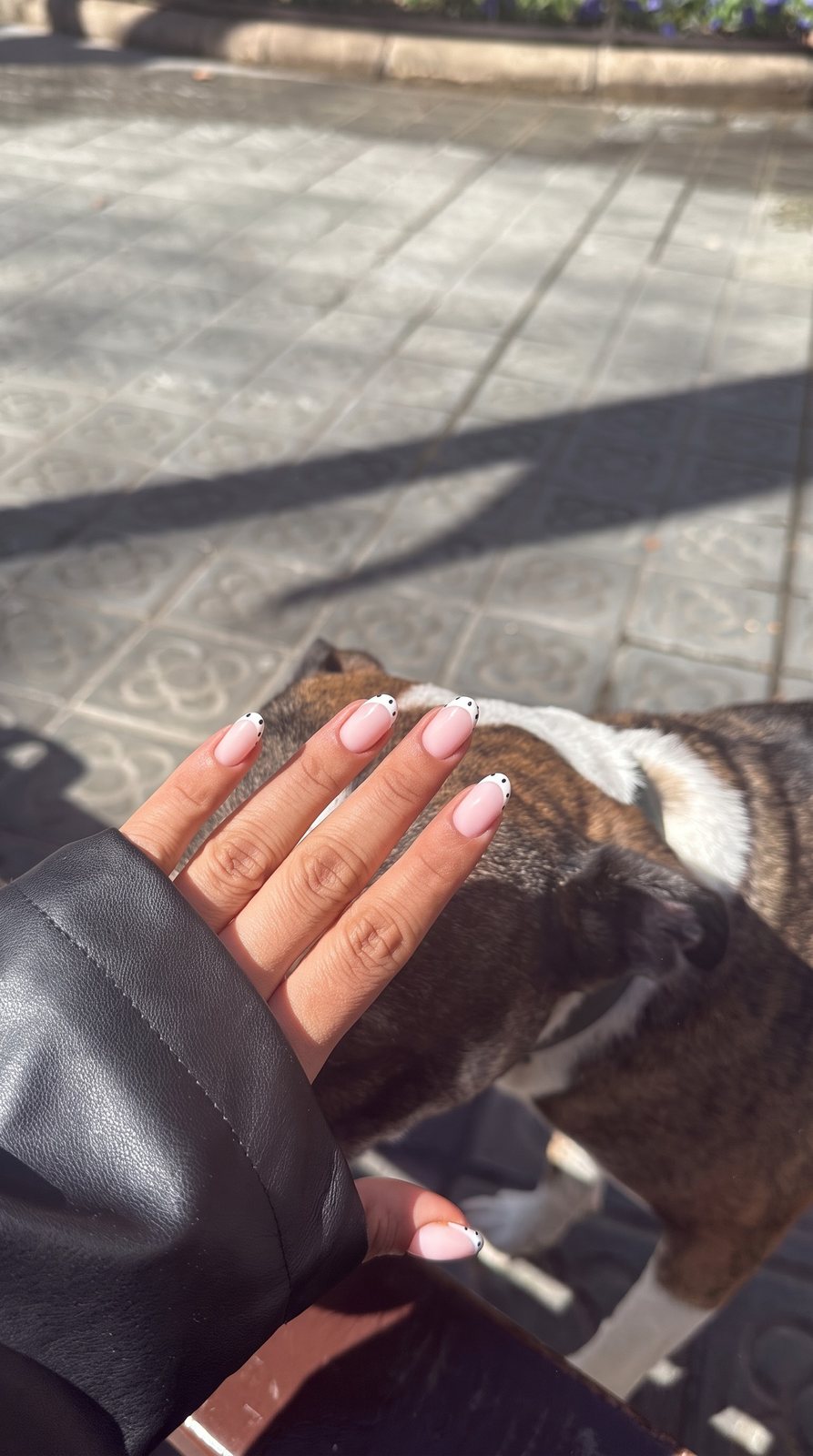 Mano con manicura rosa acariciando a un perro en la calle